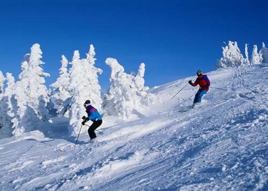 Chateau Resort & Conference Center Tannersville Instalações foto
